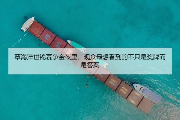 覃海洋世锦赛争金夜里，观众最想看到的不只是奖牌而是答案